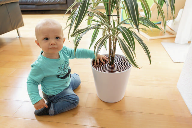 ABUS Plantbeschermer, 2 stuks.