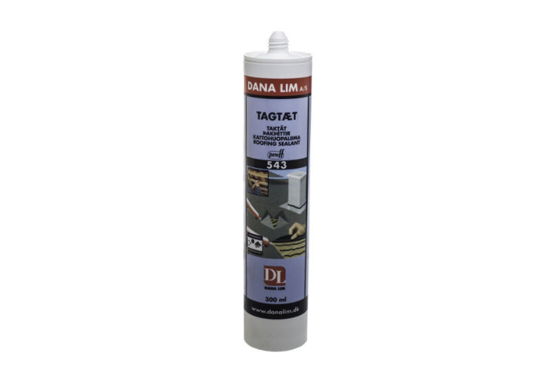 Dana Glue Rooftight 543 zwart pt 300ml