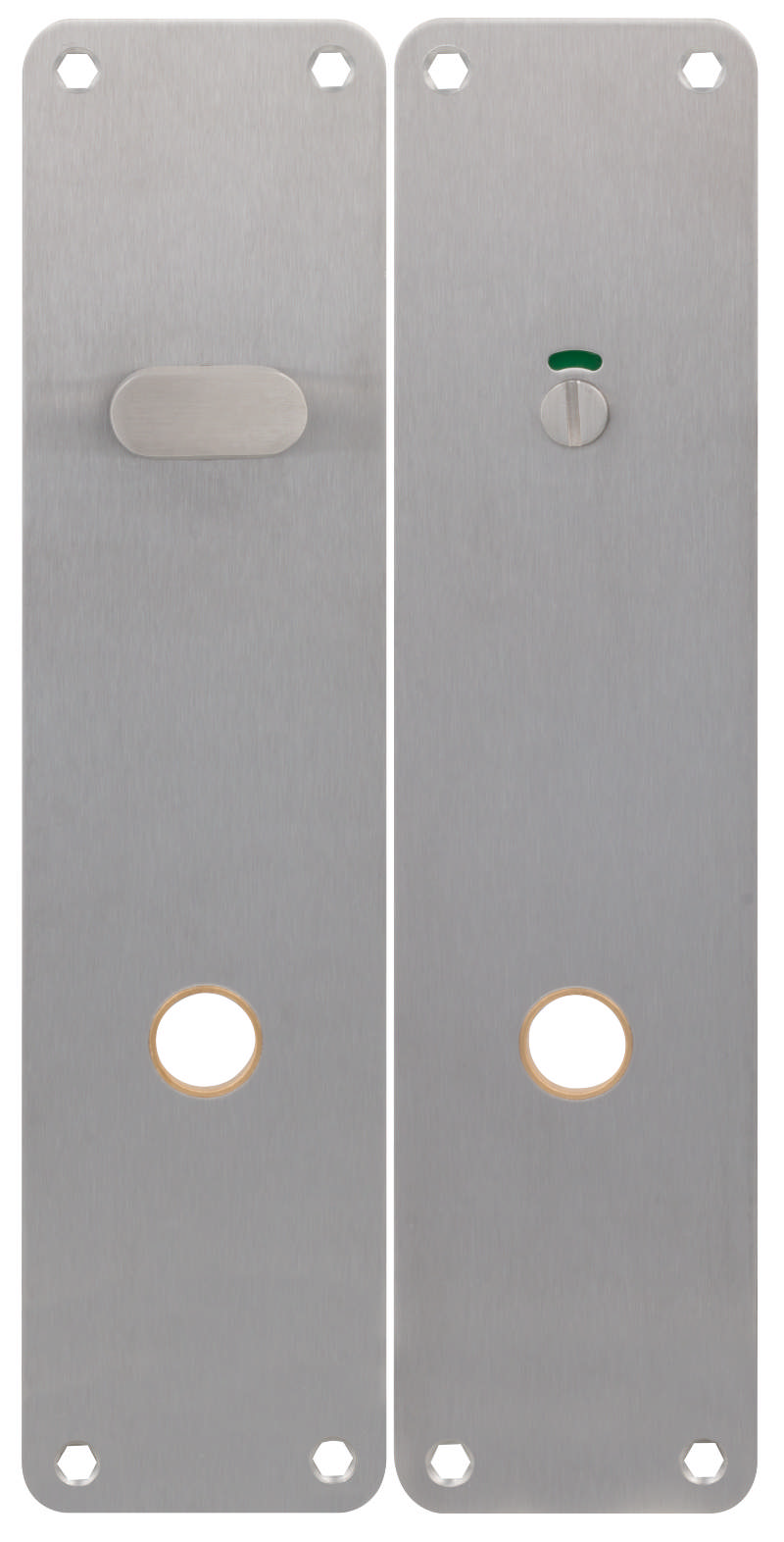 Lang bord voor toiletinrichting Assa 2x 215x55x2mm in RVS 304 met messing ring C/C105