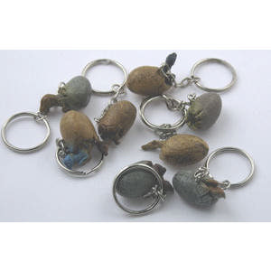 Dinosaurus ei met sleutelhanger