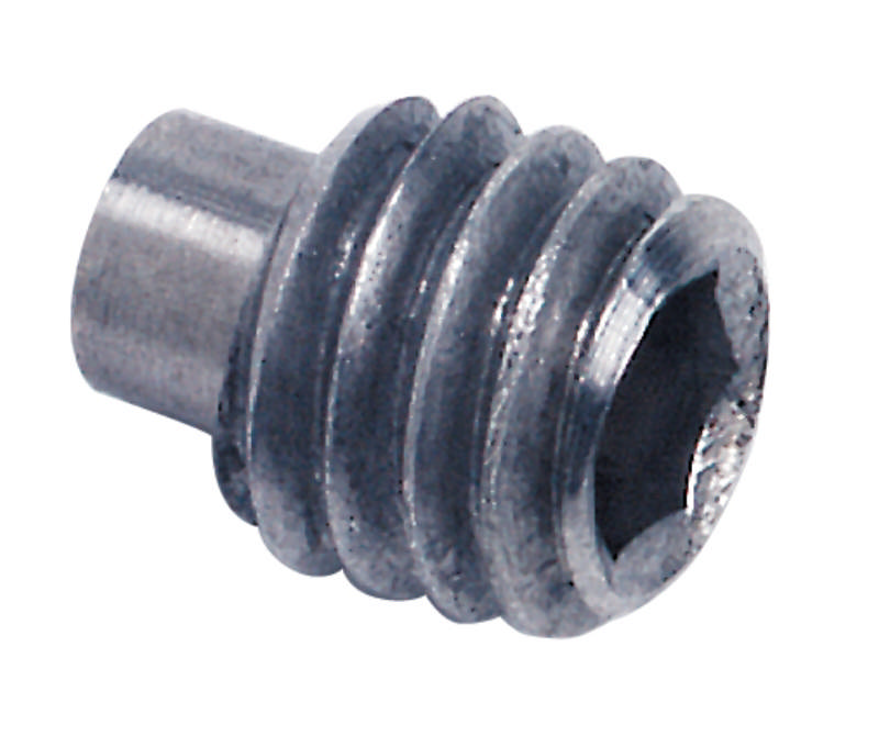 Ruko pinol schroef 793130 (t/408 deurkruk)